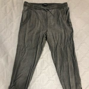 Express jogger pants
